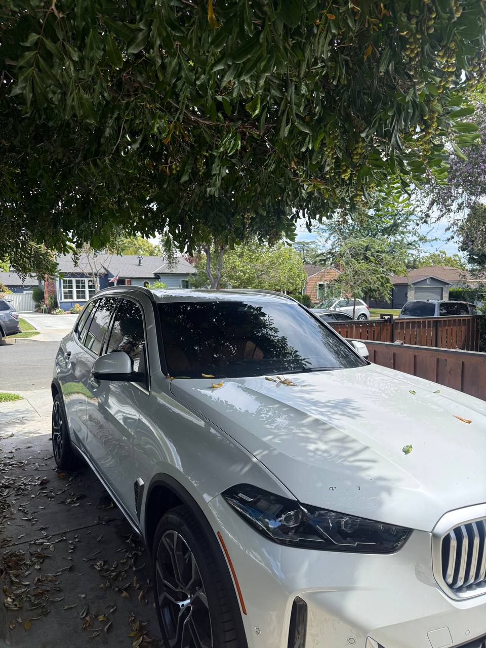 Window Tinting Blogs